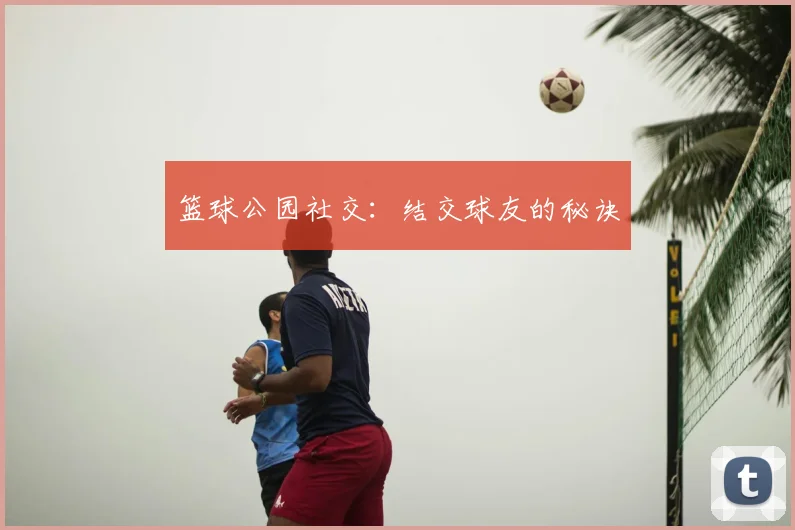 篮球公园社交：结交球友的秘诀